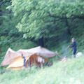 7941524.jpg