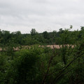 8071347.jpg