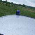 9503036.jpg