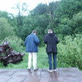 9515954.jpg