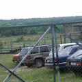 9525964.jpg