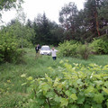 9645126.jpg