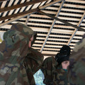 2458164.jpg