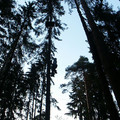 5160470.jpg