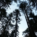 9154380.jpg