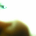 4010297.jpg