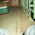 8023419.jpg