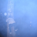 2780109.jpg