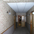 4231965.jpg
