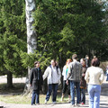 8250975.jpg