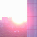 3616365.jpg