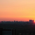 4331650.jpg