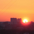4510905.jpg