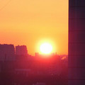 7454158.jpg
