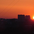 7957930.jpg