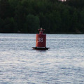 3879523.jpg