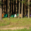 7044180.jpg