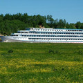 7600459.jpg