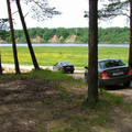 8045820.jpg