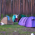9326881.jpg