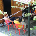 8071952.jpg