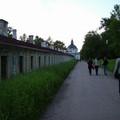 2574439.jpg
