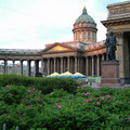 7113682.jpg