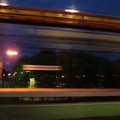 9917933.jpg