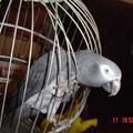 i1_1121623253.jpg