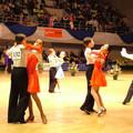 8956736.jpg