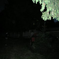 8905535.jpg