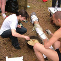 4941104.jpg