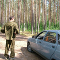 8295451.jpg
