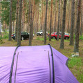 8564975.jpg