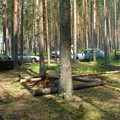8551936.jpg