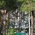 8042208.jpg