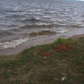 i1_mod1122881774_i1_img_0891.jpg