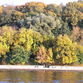 i1_mod1128425495_i1_osen.jpg