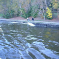 i1_mod1128425552_i1_wave.jpg