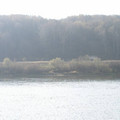 i1_mod1130232869_i1_p1011003.jpg