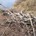 i1_mod1130232891_i1_p1011004.jpg