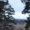 i1_mod1134577245_i1_36.jpg