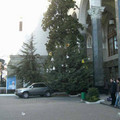 i1_mod1137049784_i1_cimg0165.jpg