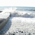 i1_mod1137049807_i1_cimg0236.jpg