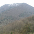 i1_mod1137050074_i1_cimg0260.jpg