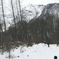 i1_mod1137050082_i1_cimg0285.jpg
