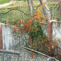 i1_mod1137356736_i1_dscf2174.jpg