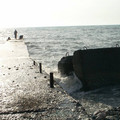 i1_0000_mod1137675654_i1_pict0473.jpg