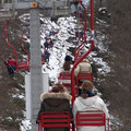 i1_mod1137675517_i1_pict0366.jpg