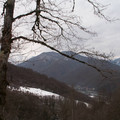 i1_mod1137675520_i1_pict0368.jpg